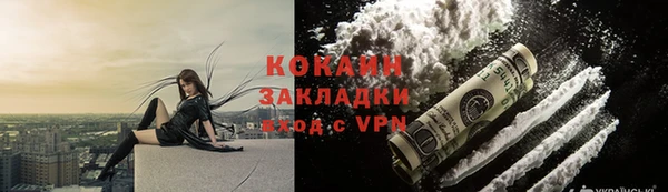 дмт Верея