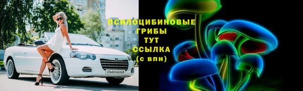 крисы Верхний Тагил