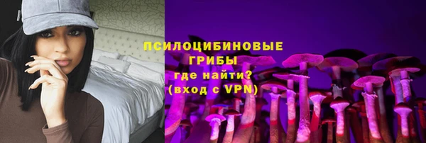 крисы Верхний Тагил