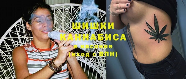 дмт Верея