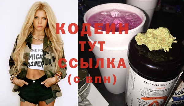 крисы Верхний Тагил