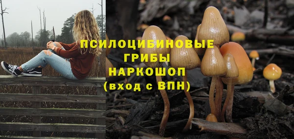 дмт Верея