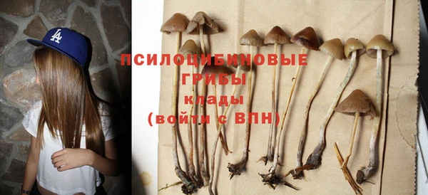 крисы Верхний Тагил