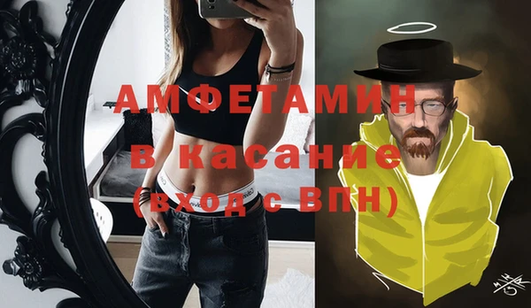 сатива Инсар