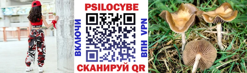 Галлюциногенные грибы прущие грибы  кракен вход  Новосокольники 