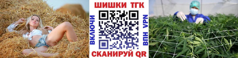 Канабис Amnesia  где купить наркоту  Новосокольники 